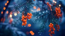   A Tree Branch Adorned With Orange Berries, Lights Backdrop