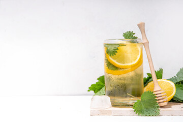 Wall Mural - Nettle Tea cold plant drink, iced tea or lemonade. Organic natural herbal tea without caffeine, made with organic raw nettle leaves. Alternative herbal medicine. Stinging nettles, urtica.