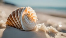 AI Generated Illustration Of A Shell Resting On A Sandy Shore