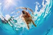 A golden retriever was swimming underwater in the clear blue water of an outdoor pool. It was captured from below with a fisheye lens, and sunlight was creating beautiful reflections on its fur.
