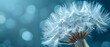 Ethereal Dandelion Whispers Against Blue. Concept Landscape, Nature, Dandelions, Blue Skies, Ethereal Whispers