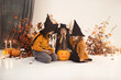 Little funny girls in witch costume on scene