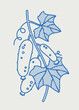 Cucumber branch with cucumbers. Line art, retro. Plants and herbs for cosmetics.