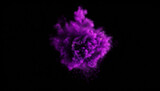 Fototapeta Psy - Purple color smoke brush black isolated transparent template dispersion dust explosion burst floating blast background abstract texture smoky ball cloud exploding.