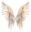 PNG Angel bird creativity archangel