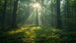 Sunbeam Serenade in a Serene Forest. Concept Nature, Sunbeams, Serenity, Forest, Photography