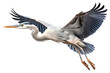 PNG Heron animal flying stork. 