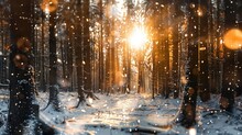 Snow Falling In The Air And Sun Shining Through Tall Trees, Christmas Time Concept.