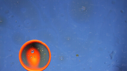 An image of multicolored droplets on glass on a blue background.