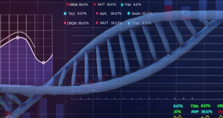 Wall Mural - Image of data processing over dna strand over dark background