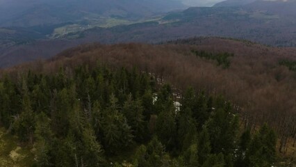 Poster - drone flies in the spring Carpathians, over a village, flowering trees, beech forest, green lawns, shadows from the setting sun, Ukraine