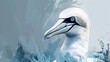 closeup portrait of northern gannet seabird helgoland island wildlife concept illustration