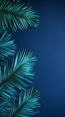  Palm leaf on an indigo background with copy space for text or design. A flat lay, top view. A summer vacation concept 