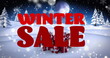 Winter sale over snowy landscape
