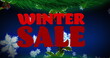 Image of winter sale text over snow and decorations on blue background