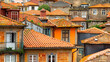 Orange tile rooftops in Porto old town Portugese