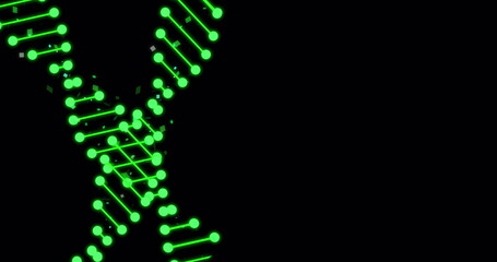 Wall Mural - image of dna strands with light spots on black background