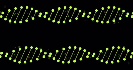 Wall Mural - image of dna strands with light spots on black background