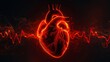 human heart shape with red cardio pulse line. Creative stylized red heart cardiogram with human heart on black background. Health, cardiology, cardiovascular diseases