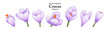 A series of isolated flower in cute hand drawn style. Crocus in vivid colors on transparent background. Drawing of floral elements for coloring book or fragrance design. Volume 6.