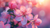 Fototapeta Lawenda - Pink Spring Blossom in Soft Light