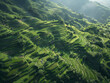 Hani Ethnic Rice Terraces in Yuanyang, Yunnan_