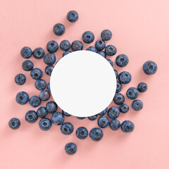 Wall Mural - Blueberry on pink background with white circle