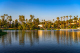 Fototapeta Zwierzęta - Echo Park Lake with pedal boats and palm trees in Los Angeles, California, photographed at sunset