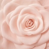 Fototapeta Sypialnia - Rose gradient background with blur effect, light rose and dark rose color, flat design, minimalist style, high resolution