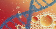 Image of bubbles over dna strand on orange background