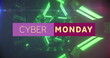 Image of cyber monday text over neon background
