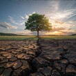 Lonely tree on cracked soil background, global warming concept.