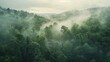Elevated view of a misty primeval forest, revealing the untouched splendor of its verdant expanse 02