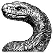 Snake . Black and white illustration. Pattern for tattoos, for use in graphics. Generated by Ai