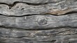 Natural Driftwood Texture Background