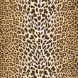 vector decorative texture of leopard skin