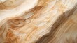 © DILLUSTRAI - Soft Texture Willow Background