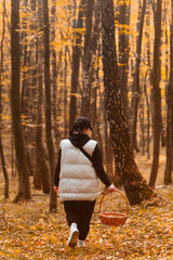 Sticker - woman in autumn forest looking for mushrooms