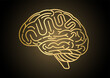 © BillionsPhoto - Brain. Human Brain. Creativity and Intelligence Concept. Vector Illustration.