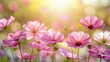 Vivid spring floral background  colorful nature landscape with soft focus flowers in early summer