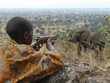 Elephant hunting in Africa