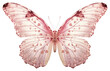 PNG Butterfly animal insect pink