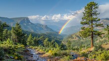   A Rainbow Arcs Over A Mountain Valley, Streaming Sunlight Through Trees And A Running Brook