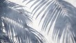 shadow of palm leaves on white concrete wall tropical leaf silhouette summer background