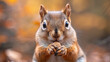 Squirrel Savoring Nut High-Resolution Wildlife Photo