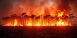 A raging fire burns through a forest, consuming trees and spreading rapidly