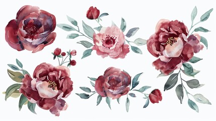 Wall Mural - watercolor burgundy peony flowers clipart set floral graphic design resources