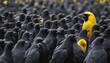 Unique Yellow Bird Among Grey bird population