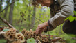 Woman harvesting morel mushrooms in a forest.