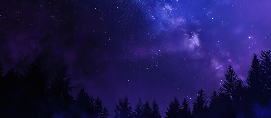 Wall Mural - Dark, purple starry sky over the forest
